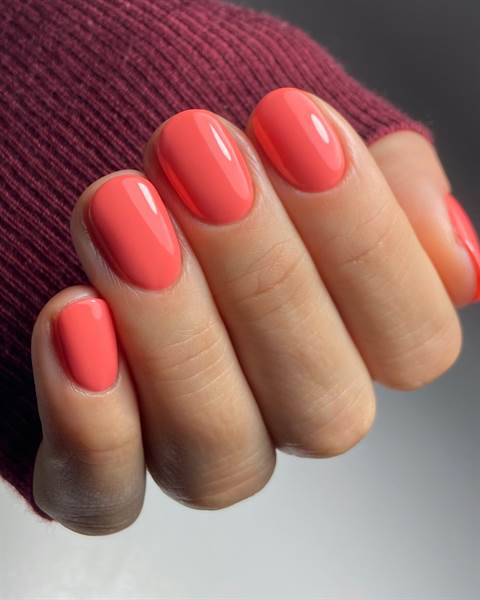 SMALTO SEMIPERMANENTE SHELLAC Catch Of The Day